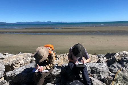 Students in the Geology of New Zealand course draw geologic maps on the shore of Golden Bay.