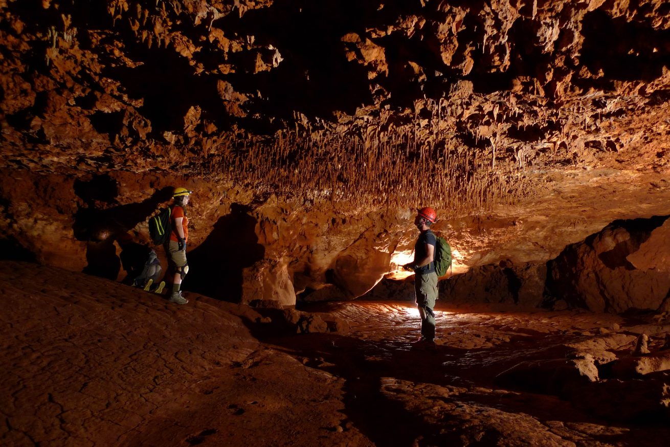 Denniston and students in a cave with stalagmites all around.