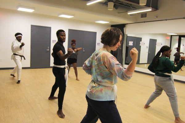 Students doing a martial arts workout class