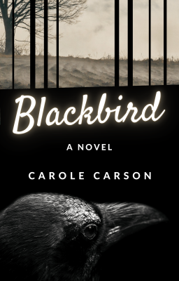 The cover of "Blackbird," by Carole Carson. The cover art includes a black and white photo of farm fields and a blackbird.Photo courtesy of Carole Carson.