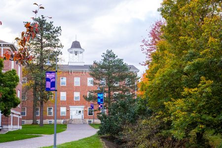 The Pedestrian Mall with Cornell banners.