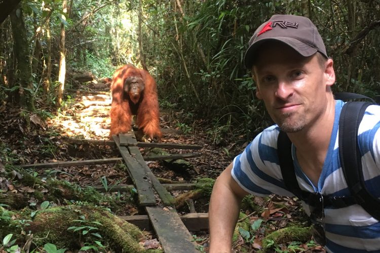 While visiting Indonesia’s Tanjung Puting National Park and its orangutan preserve, Scott Smiley ’96 came across this orangutan.
