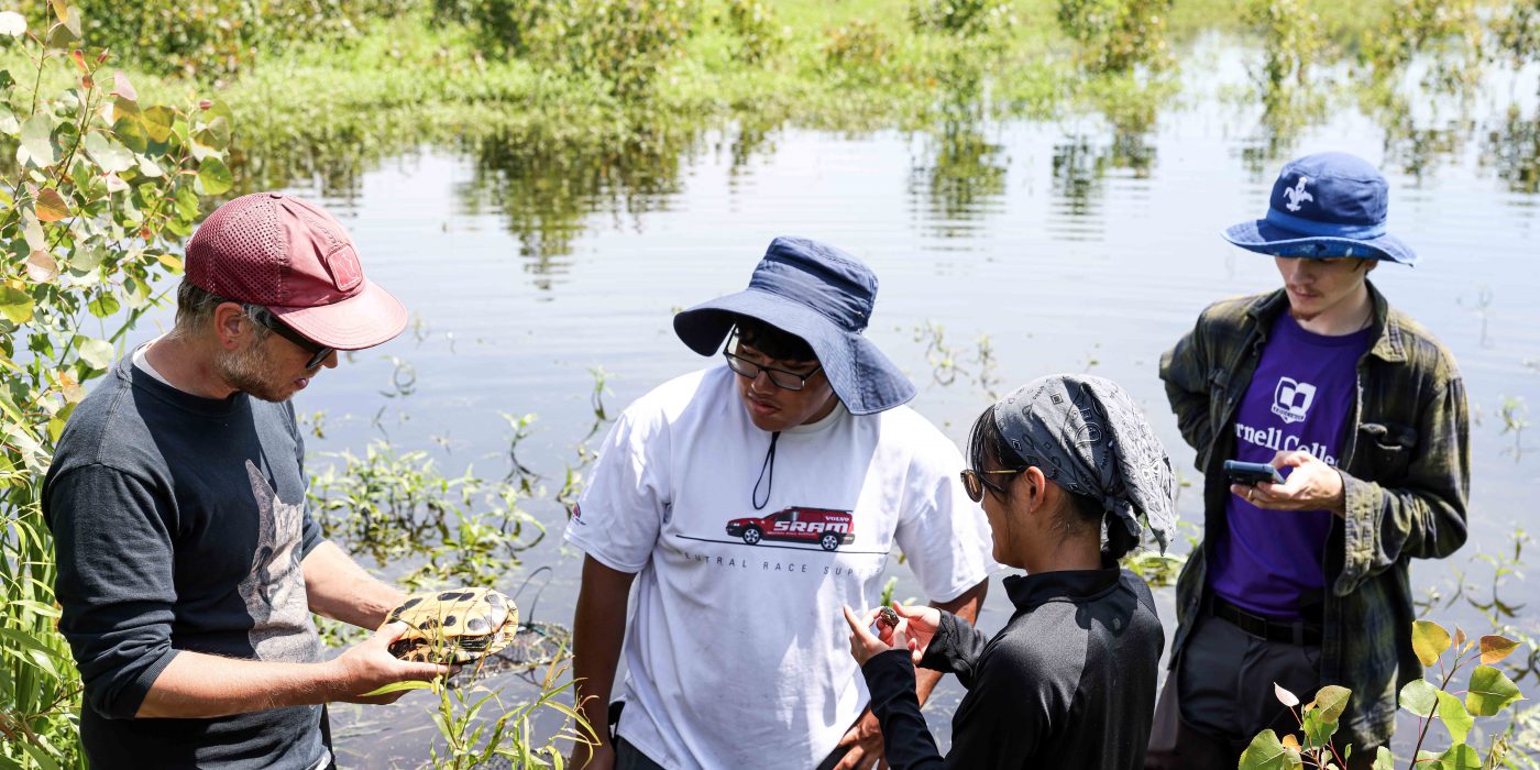 Three students stand near a wetland as their professor studies a turtle.