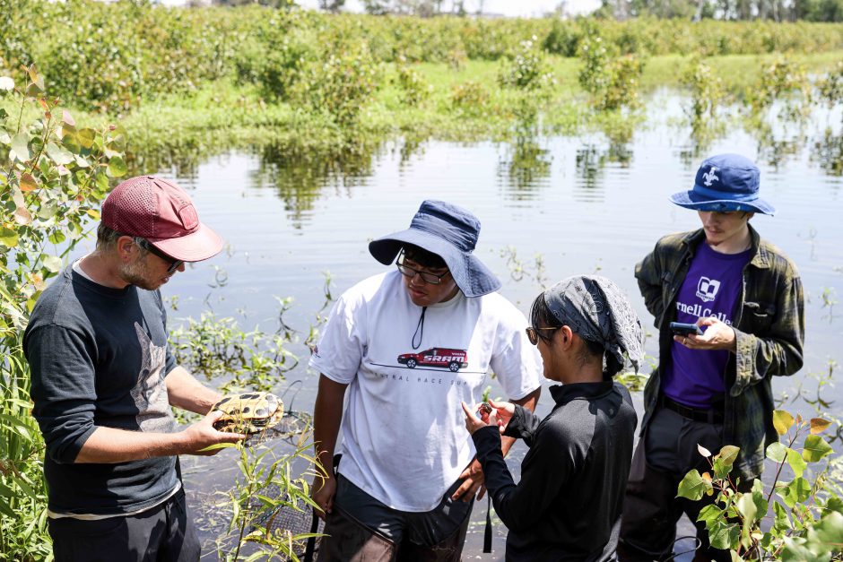 Three students stand near a wetland as their professor studies a turtle.