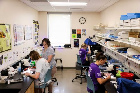 Three students work on microscopes while their professor provides assistance.