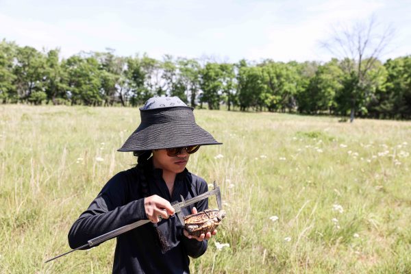 Sarah holds a turtle and measures it.