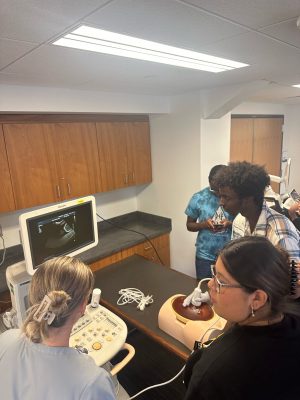 Said and fellow participants look at a monitor and analyze ultrasounds