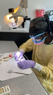 Said works with simulated teeth, cleaning cavities, and drilling. He's wearing gloves and a mask with a light while he holds the dentist equipment