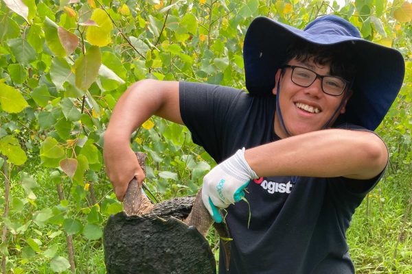 Jason Ramos ’25 reflects on his Ingenuity in Action experience with the Cornell Summer Research Institute.