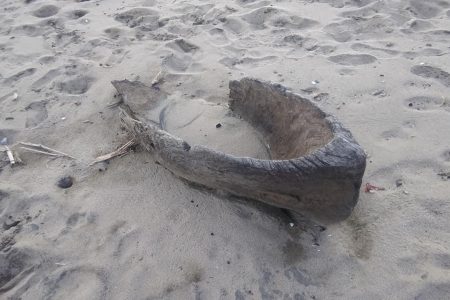 A piece of canoe sitting in sand on a beach.